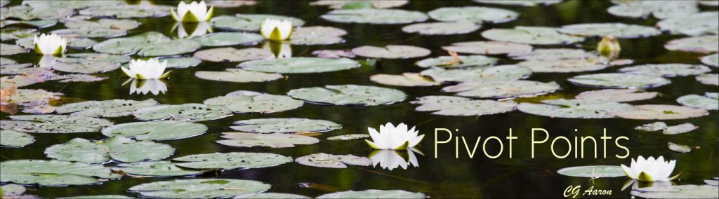 new-pivot-title