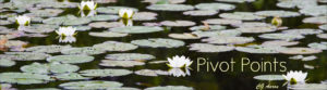 new-pivot-title